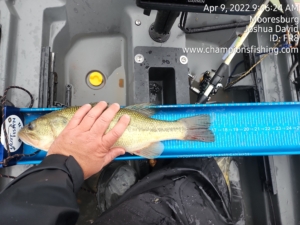 How I Managed To Put Together A Tournament Winning Day On Cherokee Lake In  Extremely Unfavorable Conditions » Champions Kayak Fishing